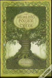 Capa do artigo The Healing Power Of Trees