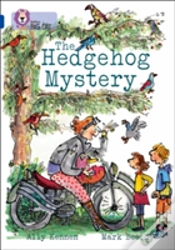 Capa do artigo The Hedgehog Mystery