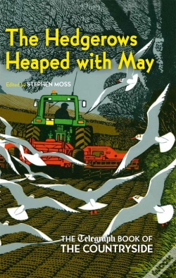 Capa do artigo The Hedgerows Heaped With May