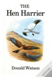 The Hen Harrier