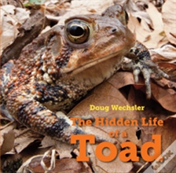 Capa do artigo The Hidden Life Of A Toad
