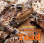 The Hidden Life Of A Toad - Preview