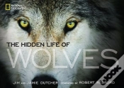 Capa do artigo The Hidden Life Of Wolves