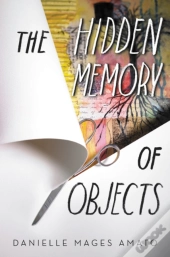The Hidden Memory Of Objects