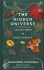 The Hidden Universe - Preview