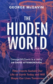 Capa do artigo The Hidden World