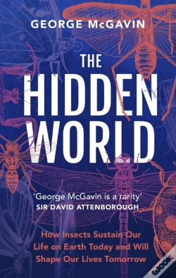 Capa do artigo The Hidden World