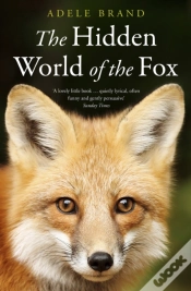 Capa do artigo The Hidden World Of The Fox