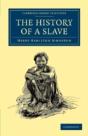 The History Of A Slave - Preview
