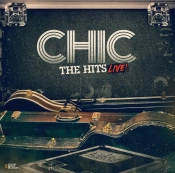 Capa do artigo The Hits - Vinil