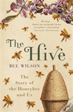 Capa do artigo The Hive