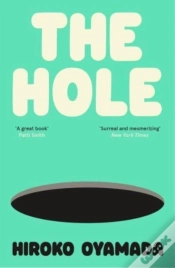 Capa do artigo The Hole