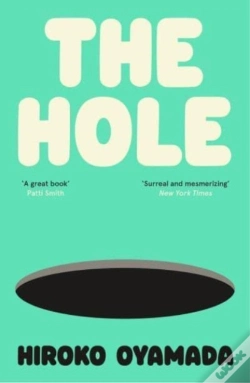 Capa do artigo The Hole