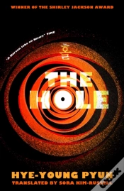 Capa do artigo The Hole