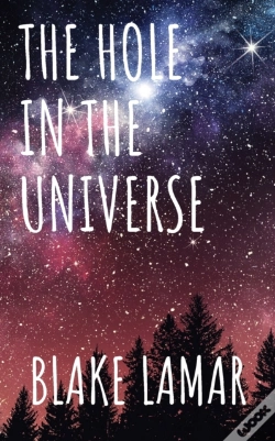 Capa do artigo The Hole In The Universe