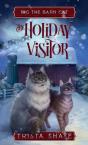 The Holiday Visitor - Preview