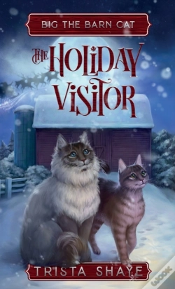Capa do artigo The Holiday Visitor