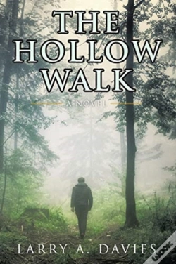 Capa do artigo The Hollow Walk