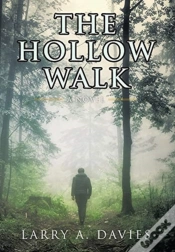 Capa do artigo The Hollow Walk