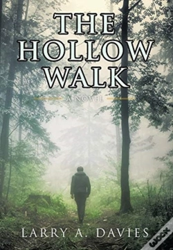 Capa do artigo The Hollow Walk