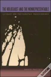 The Holocaust And The Nonrepresentable