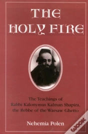 Capa do artigo The Holy Fire