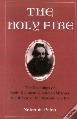 Capa do artigo The Holy Fire