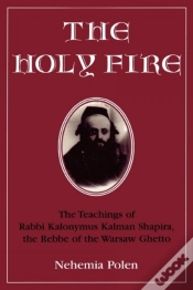 Capa do artigo The Holy Fire