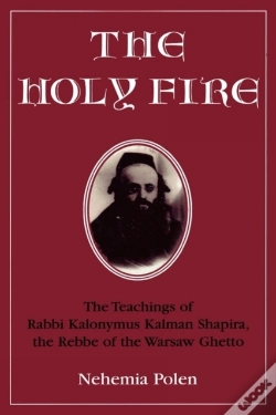 Capa do artigo The Holy Fire