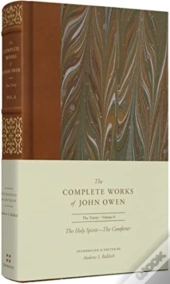 The Holy Spiritâ€”The Comforter (Volume 8)