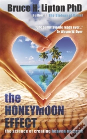 Capa do artigo The Honeymoon Effect