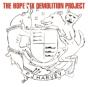 The Hope Six Demolition Project - Vinil - Preview