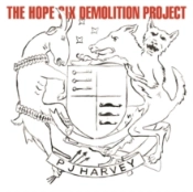 Capa do artigo The Hope Six Demolition Project - Vinil
