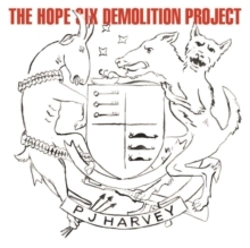 Capa do artigo The Hope Six Demolition Project - Vinil