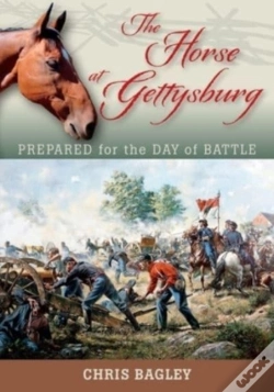 Capa do artigo The Horse At Gettysburg