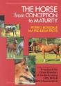 The Horse From Conception To Maturity - Preview