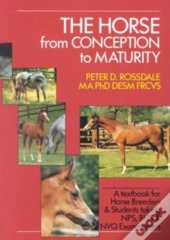 The Horse From Conception To Maturity