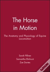 Capa do artigo The Horse In Motion
