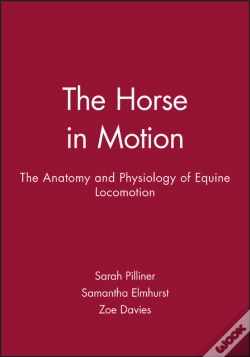 Capa do artigo The Horse In Motion