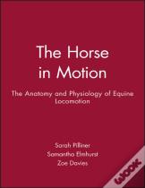The Horse In Motion