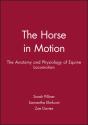 The Horse In Motion - Preview