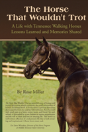 The Horse That Wouldn'T Trot - Preview