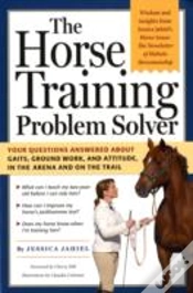 Capa do artigo The Horse Training Problem Solver