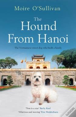 Capa do artigo The Hound From Hanoi