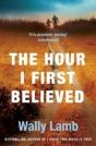 The Hour I First Believed - Preview