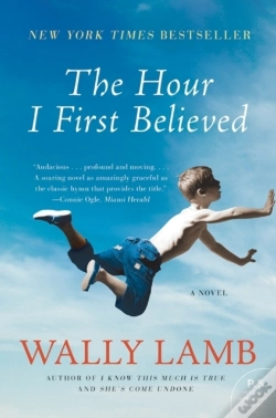 Capa do artigo The Hour I First Believed