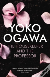 Capa do artigo The Housekeeper And The Professor