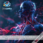 Capa do artigo The Human Body And Its Functions