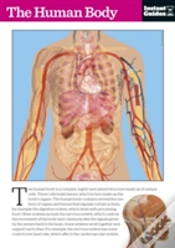 Capa do artigo The Human Body