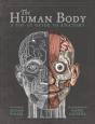 The Human Body - Preview